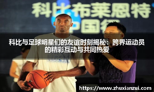 星空体育网站入口